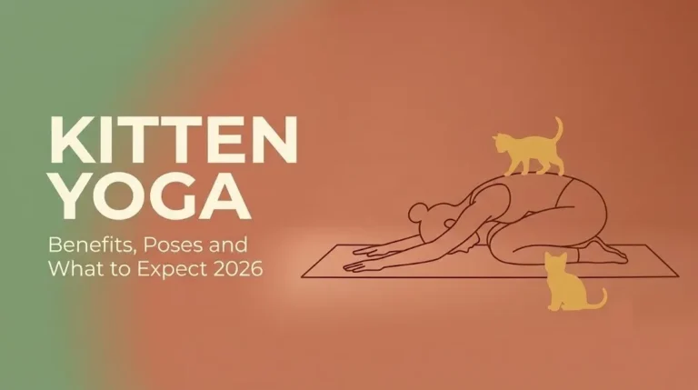 Kitten yoga